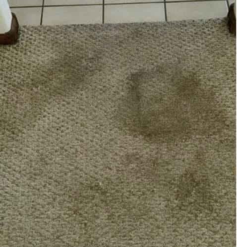 carpet-before