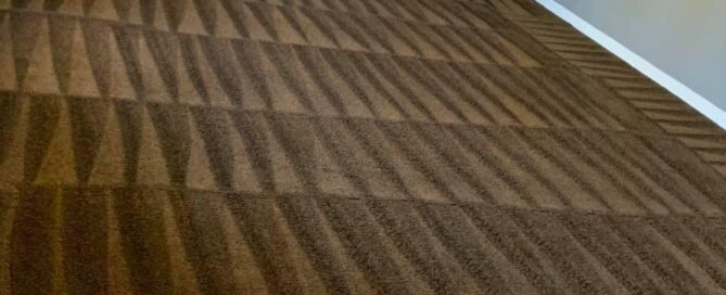 best carpet cleaning company in arizona citrus bright floor cleaners