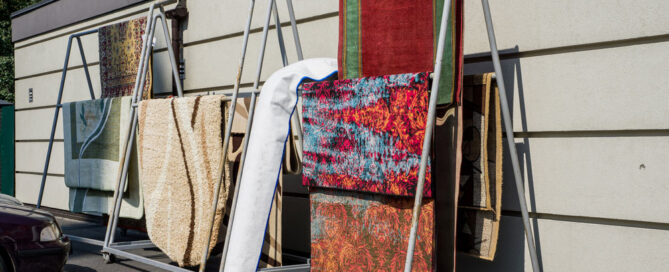 professional rug cleaning in az citrus bright