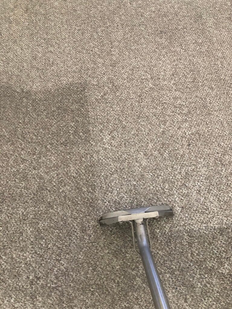 Citrus Bright residential carpet cleaning in Arizona