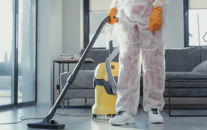 using a carpet cleaner in mesa az
