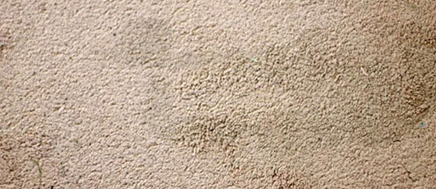 identifying the cause of recurring carpet stains