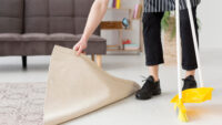 carpet cleaning services with citrus bright what to expect
