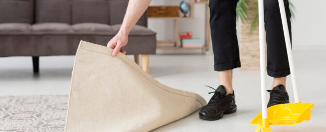 carpet cleaning services with citrus bright what to expect