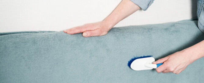 the impact of pets on upholstery how to keep your furniture clean and fresh