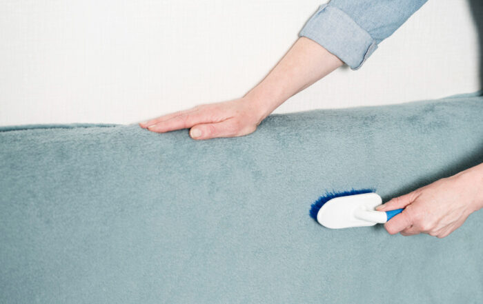 the impact of pets on upholstery how to keep your furniture clean and fresh