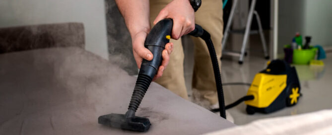 what works best to get pesky stains out of upholstery