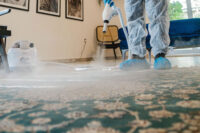 diy vs professional carpet cleaning pros and cons