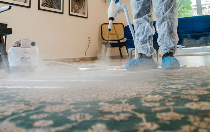 diy vs professional carpet cleaning pros and cons