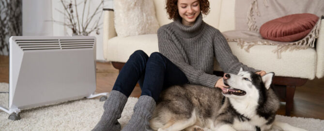 the art of pet stain removal tips from the pros