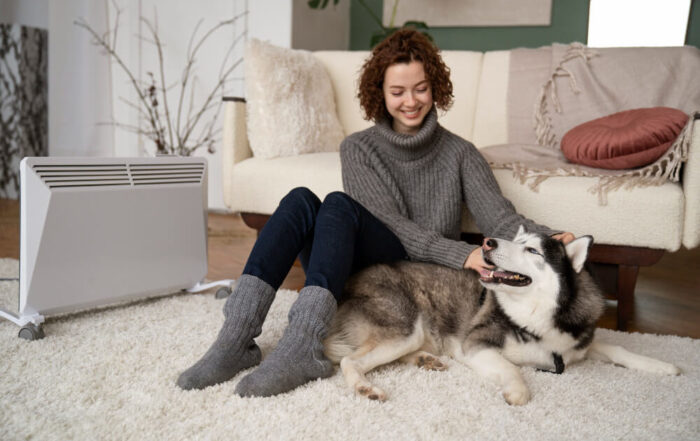 the art of pet stain removal tips from the pros