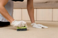 the dos and don'ts of diy carpet spot cleaning