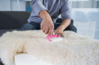 diy carpet stain removal tricks and products that actually work