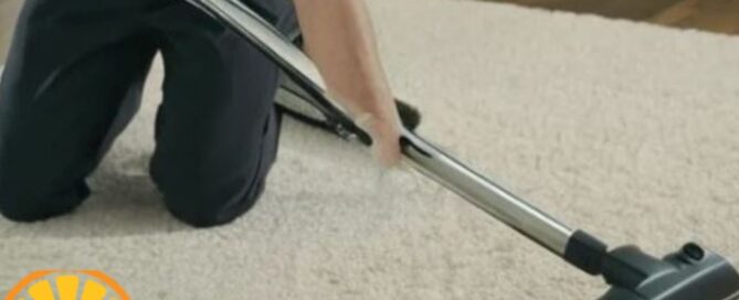 The Natural Cleaning Power of Citrus: What Sets Citrus Bright Apart