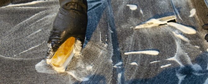 carpet cleaning for a healthier home mold, bacteria, and dust mites