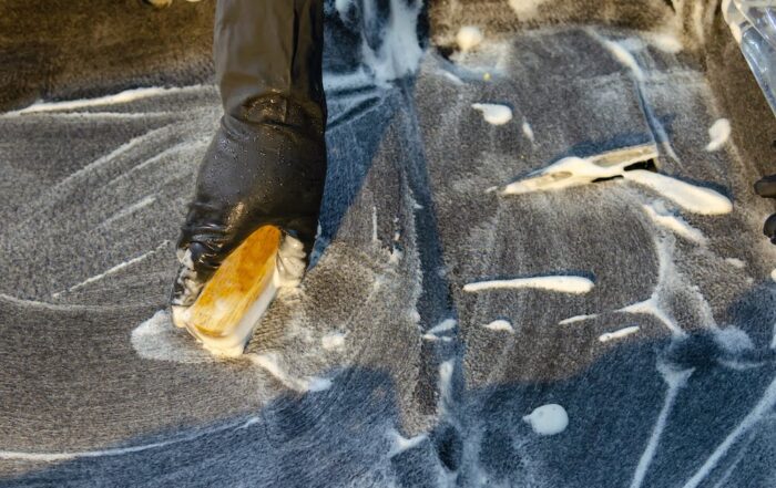 carpet cleaning for a healthier home mold, bacteria, and dust mites