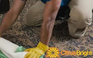 citrus bright's allergen free cleaning