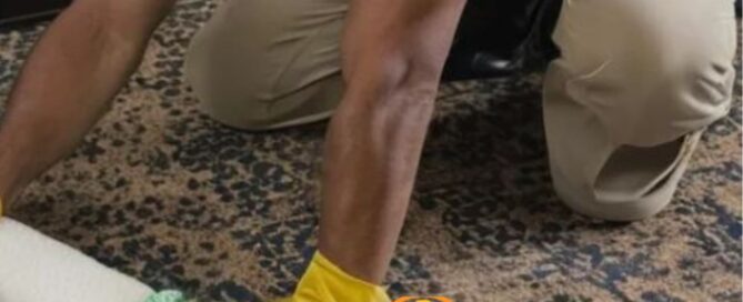 citrus bright's allergen free cleaning