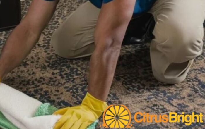 citrus bright's allergen free cleaning