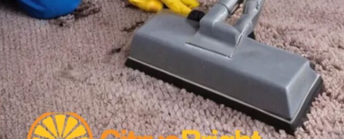citrus bright's carpet cleaning solutions for allergy relief