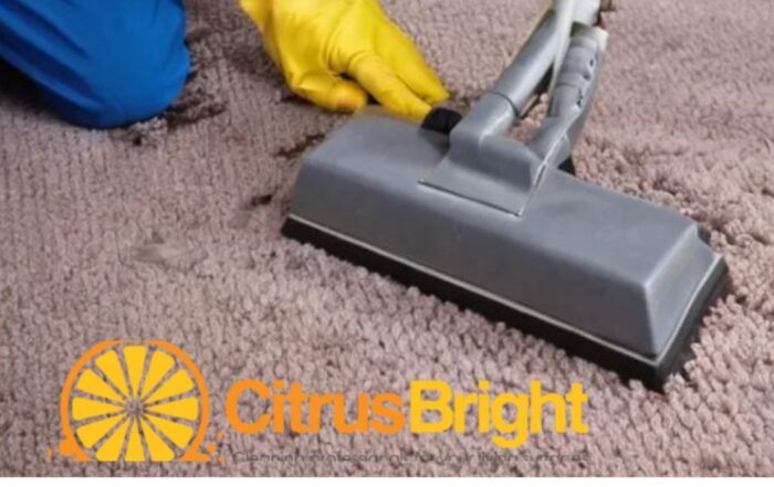 citrus bright's carpet cleaning solutions for allergy relief
