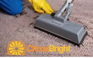 citrus bright's carpet cleaning solutions for allergy relief