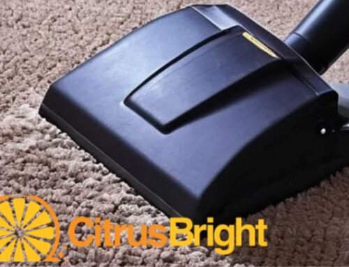 The Ultimate Guide to Rug Cleaning: Citrus Bright’s Expert Tips
