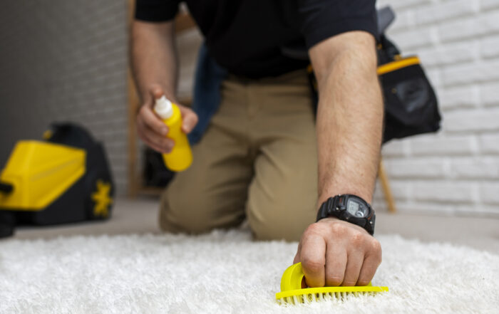 Explore the cost differences between DIY carpet cleaning and professional services from Citrus Bright. Get expert cleaning that saves time and ensures quality. Call (480) 689-3509 to book your service.