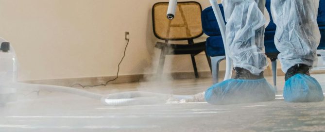 Schedule professional carpet cleaning with Citrus Bright for the best seasonal results. Call (480) 689-3509 to book your cleaning today!