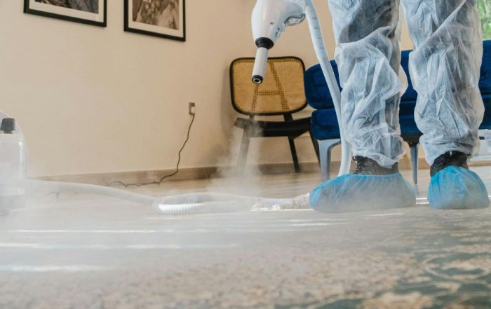 Schedule professional carpet cleaning with Citrus Bright for the best seasonal results. Call (480) 689-3509 to book your cleaning today!
