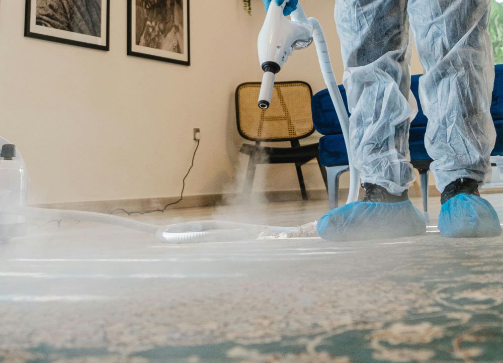 Schedule professional carpet cleaning with Citrus Bright for the best seasonal results. Call (480) 689-3509 to book your cleaning today!
