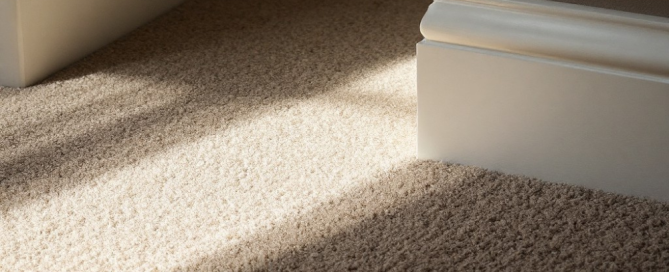 Professional carpet cleaning in Chandler helps extend the life of your floors. Call Citrus Bright at (480) 689-3509 today!