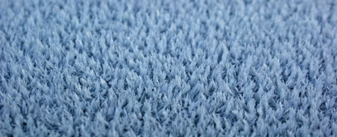 Allergy season in Phoenix? Call Citrus Bright at (480) 689-3509 for expert carpet cleaning to remove allergens and improve indoor air quality.