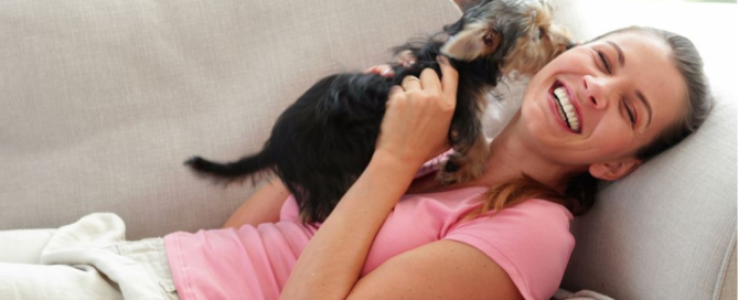 "Upholstery cleaning for pet stains by Citrus Bright—restore your couch with eco-safe treatment, call (480) 689-3509