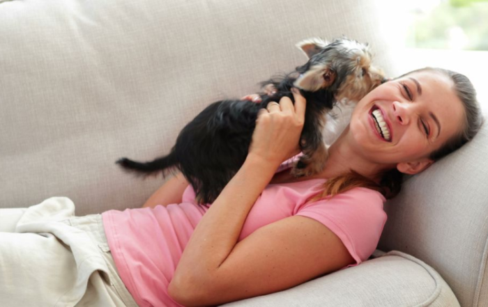 "Upholstery cleaning for pet stains by Citrus Bright—restore your couch with eco-safe treatment, call (480) 689-3509