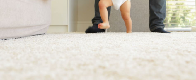 Carpet cleaned and drying quickly after Citrus Bright service in Gilbert. Call (480) 689-3509 for clean, dry, ready-to-use floors.
