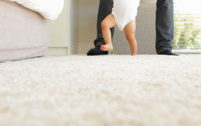 Carpet cleaned and drying quickly after Citrus Bright service in Gilbert. Call (480) 689-3509 for clean, dry, ready-to-use floors.
