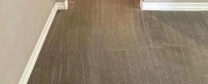 Eco-friendly professional carpet cleaning in Phoenix by Citrus Bright helps maintain a healthy workplace - call (480) 689-3509 to schedule your service today.