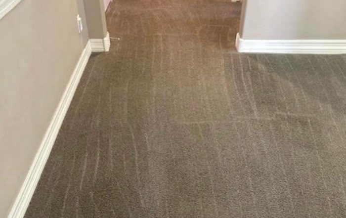 Eco-friendly professional carpet cleaning in Phoenix by Citrus Bright helps maintain a healthy workplace - call (480) 689-3509 to schedule your service today.