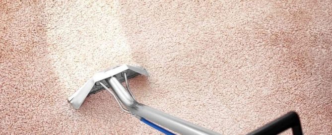 Eco-friendly citrus-based carpet cleaning in Phoenix by Citrus Bright - experience safe and natural freshness. Call (480) 689-3509 today for professional service.