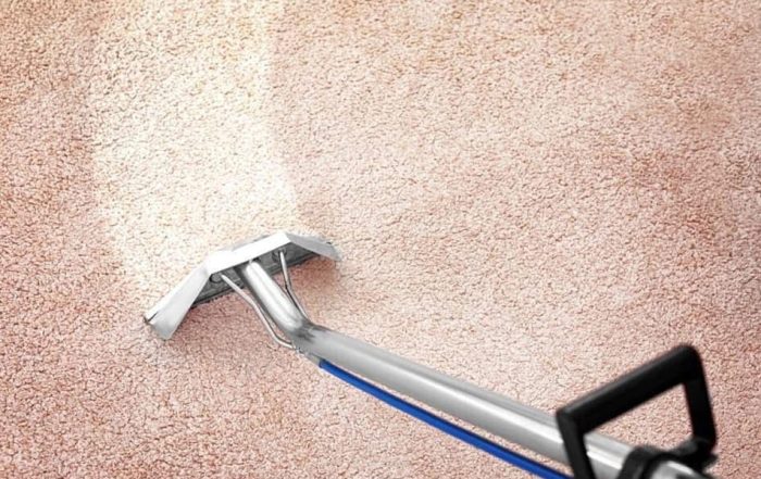 Eco-friendly citrus-based carpet cleaning in Phoenix by Citrus Bright - experience safe and natural freshness. Call (480) 689-3509 today for professional service.