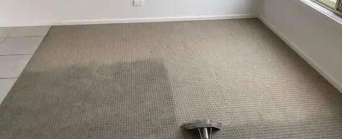 Deep commercial carpet cleaning for Phoenix offices by Citrus Bright—restore freshness, improve air quality, and call (480) 689-3509 today to schedule your professional cleaning service.