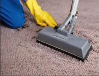 Eco-friendly commercial carpet cleaning in Phoenix by Citrus Bright Carpet Cleaning — safe, citrus-based cleaning that leaves carpets fresh and spotless. Call 480-689-3509 today for a healthier workspace!