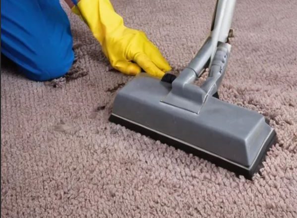 Eco-friendly commercial carpet cleaning in Phoenix by Citrus Bright Carpet Cleaning — safe, citrus-based cleaning that leaves carpets fresh and spotless. Call 480-689-3509 today for a healthier workspace!