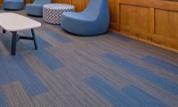 Citrus Bright team provides professional carpet cleaning for a healthy Phoenix office environment - call us at 480-689-3509 for expert commercial carpet maintenance.