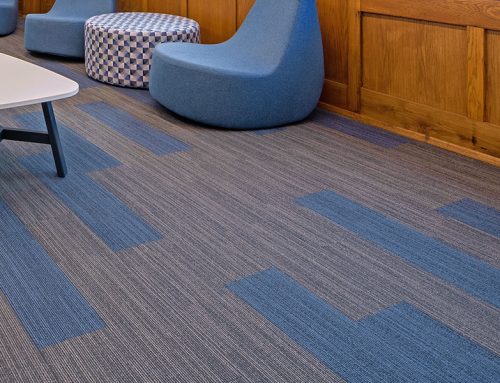 Why Do Phoenix Office Carpets Wear Out Faster—and How Can Professional Maintenance Help?