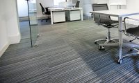 Eco-friendly commercial carpet cleaning in a Phoenix office to improve air quality—call Citrus Bright at (480) 689-3509 for healthier, cleaner carpets today.