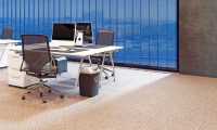 A clean commercial office carpet in Gilbert after professional cleaning by Citrus Bright Carpet Cleaning. Call 480-689-3509 to schedule your carpet cleaning and keep your carpets looking vibrant, healthy, and safe for everyone.
