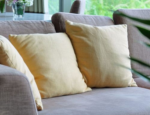 Can Professional Cleaning Remove Pet Odors and Stains from Upholstery?