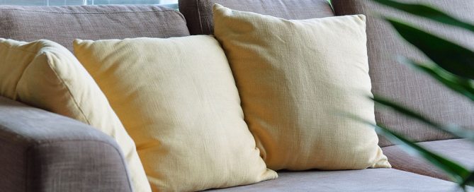 Professional pet upholstery cleaning by Citrus Bright helps eliminate pet odors and stains safely—call 480-689-3509 today to restore fresh, clean furniture.